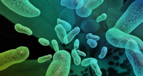 Hygiene im Büro: Wie verhält es sich mit der Hygiene am Arbeitsplatz?