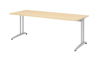 Schreibtisch Bregenz BS20